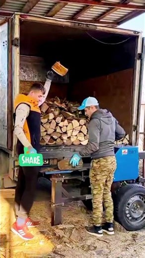 Modern Log Splitter #logsplitter