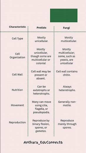 Protists vs Fungi: Tiny Cells, Big Differences! | ‪@Anthara_EduConnects‬