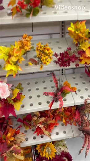 Just hopping in for a quick fall DIY. #dollartree #dollartreediy #dollartreefinds #dollartreediyprojects #falldiy