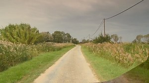 Watch Virtual Walks - Wetlands & Lakes for Indoor Walking Workouts on Amazon Live