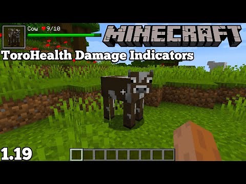 TOROHEALTH DAMAGE INDICATORS MOD UPDATE - MINECRAFT 1.19 (MOD SHOWCASE)