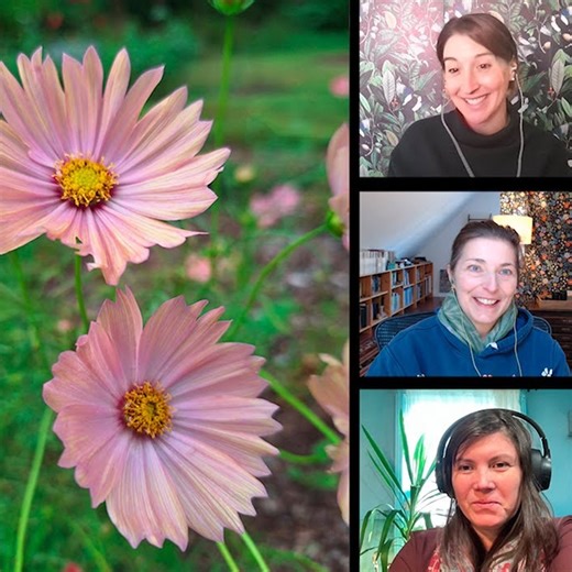 Episode 188: The Best Seeds We’ve Ever Started - Fine Gardening