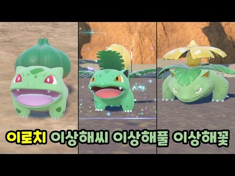 0001 이로치 이상해씨 & 0002 이로치 이상해풀 & 0003 이로치 이상해꽃