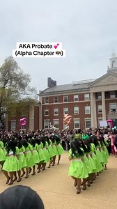 109K views · 4.7K reactions | Shoutout to the new Howard University Spring 25 line of AKAs ( Captured by student @valaycia_ ) . . . . #hbcu #historicallyblacksinceblackculture #alphakappaalpha #blackexcellence #howarduniversity | Historically Black Since | Facebook