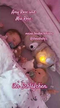 Amy Rose and Mia Rose, my sweet reborn babies, are taking a nap.