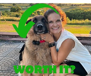 Watch Petsafe Containment Collar System- step by step tutorial  on Amazon Live