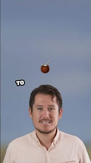 Chameleons: Masters of Color Changing | Amazing Adaptations and Secrets of Chameleon Camouflage