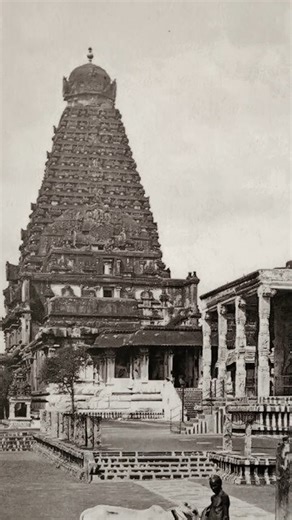 The Scholar King of Thanjavur | History Shorts #travelvlog