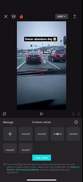 No Internet Connection” Error with AI Custom Voice in CapCut - Need Help!
