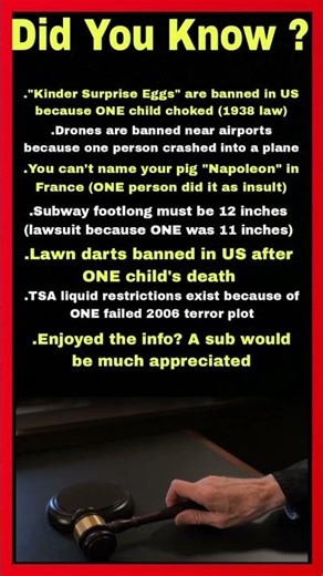 Laws That Exist Because ONE Person Did Something Stupid ⚖️👮