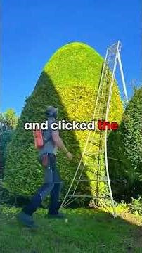 TIFU by forgetting I had a Pi-Hole