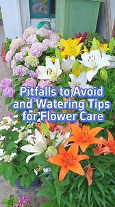 Tips for planting flowers and some house plants #garden #gardening101 #planting #flower #houseplants | The Seed of life