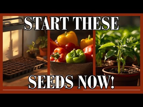 Top 10 Seeds to Start Indoors in January (Zones 7–10) | Don’t Miss This Window!