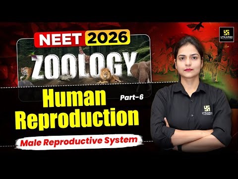 NEET 2026 Biology | Zoology – Human Reproduction | Male Reproductive System Part-6| Dr. Ronak Ma'am