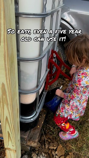 IBC tote grain gate in action! #homestead #farmhacks #homesteadlife #ibctote | Wilson Creek Farm