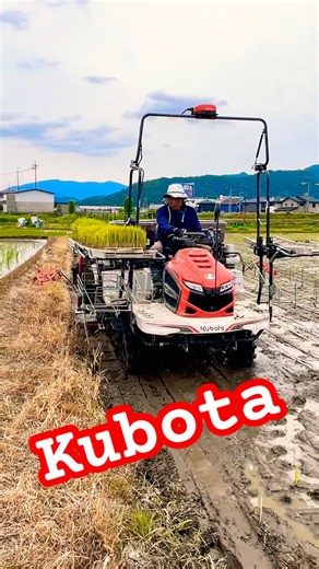 Kubota NW60S GS 田植え機 田植え作業#farming #現代農業 #automobile #kubota#農業 #agriculturelife