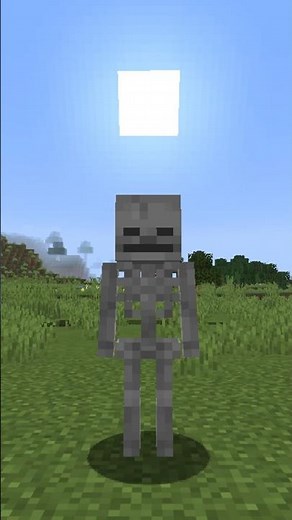 Making Skeletons NOT Get Burned By The Sun #minecraft