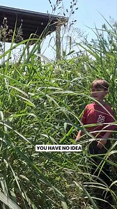 808K views · 27K reactions | They Were In Over Their Heads With This Yard (Literally)! #blessingboys #txmowing #overgrownyard #mowing #edging #cleanup #asmr #satisfying #cleaning #fyp #fypシ #viral #viralvideo #transformation #overgrown | Blessing Boys | Facebook