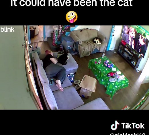 Why Does My Cat Fart?