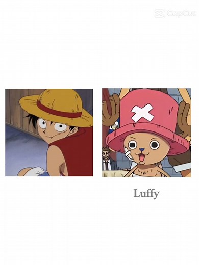 One Piece: Luffy and Chopper Interaction