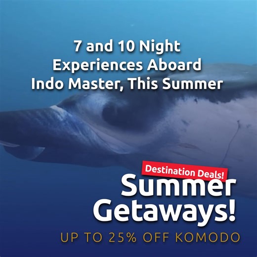 Summer Getaways are here! 🌊 Dive in, with savings of up to 25% on liveaboard diving adventures to the most exciting Indonesia destinations. 🐠 Inspirational mantas, reef, and macro experiences. Don’t wait — these offers are only available until the end of February! Ready to make your dream dive vacation a reality? 🐠 Head to our website NOW to grab your spot before it’s gone! 🤿 Explore stunning Komodo Summer Getaways with Master Liveaboards! | Master Liveaboards