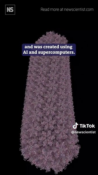 Advanced Molecule Simulation Using AI at Harvard