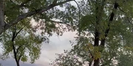 UPS crash at Muhammad Ali International Airport