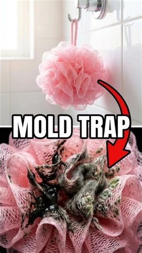 Why You Shouldn't Use It 🛑 (Mold Warning) #shorts