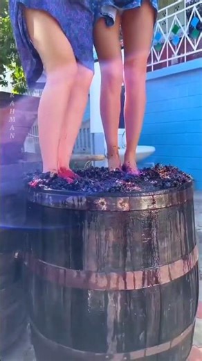 Why Premium Wine Is Still Made by Crushing Grapes With Feet