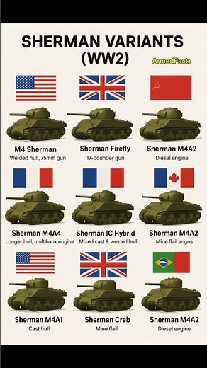 Sherman Tank Variants of WW2 Explained M4Sherman Evolution#militaryhistory#militarytanks#shermantank