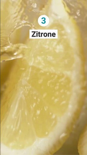 Sommerzeit = Flohzeit 🐕🪳