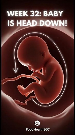 32 Weeks Pregnant: Baby is Head Down! | Fetal Development (Vertex Position) #short
