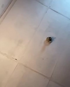 39K views · 96 reactions | Killed it literally wat ya think #fypシ #viral #hairtransformation #hairstyles #hairtutorials #bundles #pridemonth | XCsunnyHair | Facebook