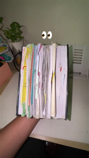 Life of a Law Student: Challenges and Insights