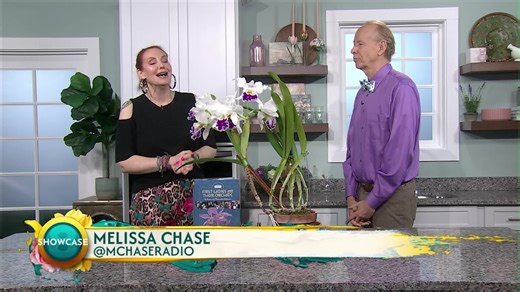 Chadwick & Son Orchids: Orchid Care Explained by the Pros