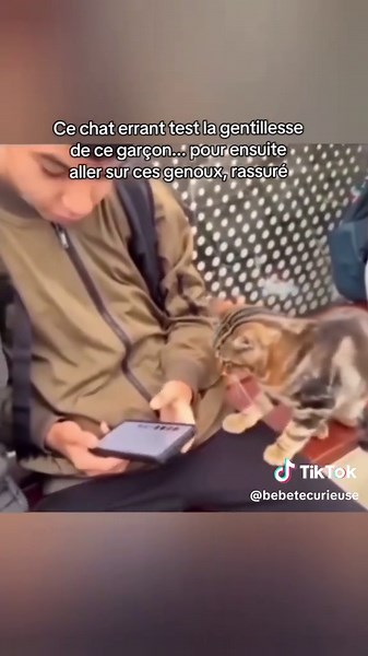 Méritons-nous les animaux ? Éthique et compassion animale