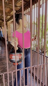 Millionaire pretends to be a homeless person to meet kind-hearted people | Scenes in Action