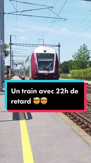 Belle perf 😂 #train #histoire #humour #kombo