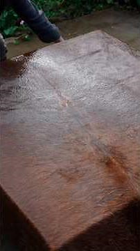 Unveiling China’s 2,000-Year-Old Shadow Puppetry | The Ancient Art Behind the World’s First Film