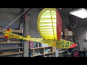 Leprechaun Rc Glider, View Around
