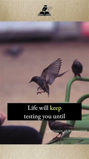 Why You Should Never Stop Learning In Life 📖🌱