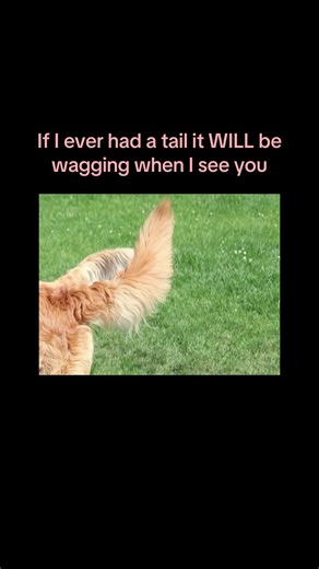 ⋆˚.✰ ⁺. 𖦹𝑨𝚂𝐇! ྀིྀི.𖦹‧₊ 🦴 (@ash8682000)’s video of rat tails
