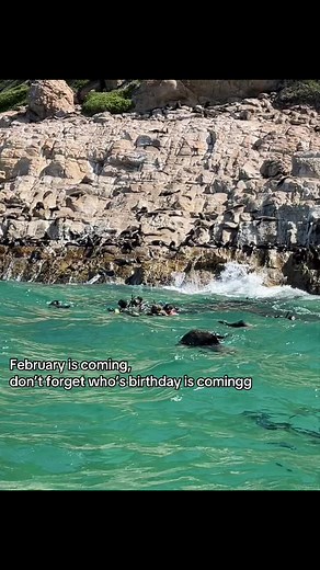 Celebrate February Birthdays: Key Dates and Wishes