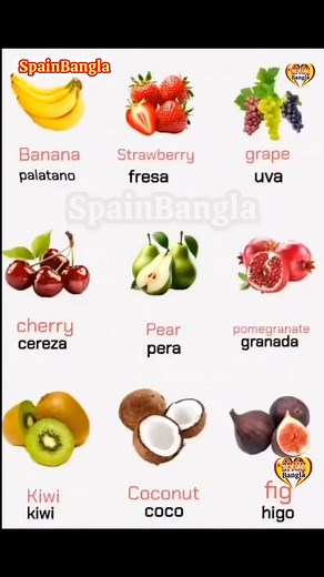 Hello friends, let's learn the names of fruits in Spanish and learn them carefully. Let's learn and say them in Spanish and English. হ্যালো বন্ধুরা চলে স্প্যানিশে ফলের নামগুলো জেনে নেই এবং শিখবেন মনোযোগ সহকারে। আসুন আমরা স্প্যানিশে ও ইংরেজিতে শিখি এবং বলি #NepaliNewsToday #alemania #Bangladesh #indian #spain #morocco #Pakistán #venezuelalibrededictadura #StarsEverywhere #nepal | Spain Bangla