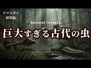 【リマスタ総集編】古代巨大昆虫の真実｜進化が生んだ異形と最大種の謎
