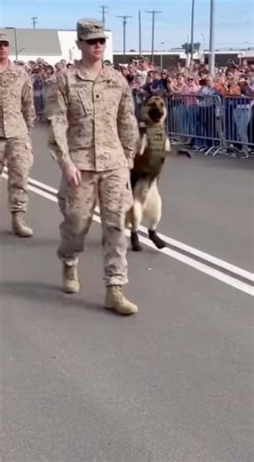 Talented k9 dog in the world 🌎 😀❤️❤️🥰🔥