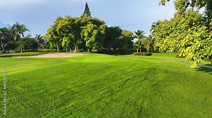 Grass turf and sand bunkers on a beautiful golf course. Tropical landscape. Green field, trees and blue sky. Golf holidays in the Dominican Republic. Golf course with fairway.