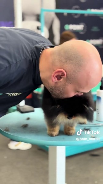 El mejor día de belleza para mi pomerania
