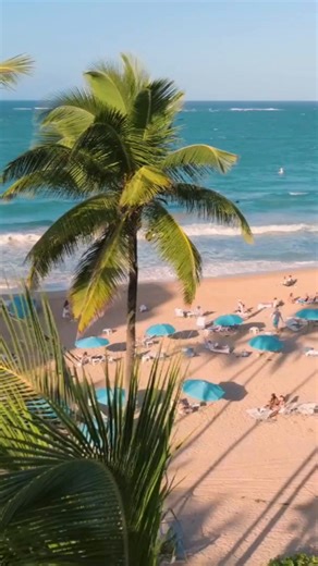 22K views · 422 reactions | Warm sand, sea breeze, and endless horizons. Drop a  if we’ll be seeing you this summer. #SanJuanMarriottResort #MarriottHotels #IslandGetaway #SummerVacations | San Juan Marriott Resort and Stellaris Casino | Facebook