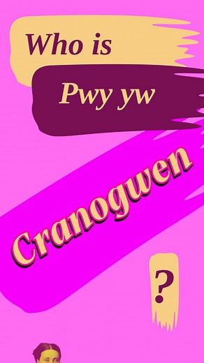 2.6K views · 30 reactions | WHO WAS CRANOGWEN?  A woman before her...